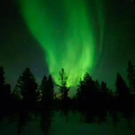 Arctic Aurora House,sevettijaervi דירה Sevettijärvi