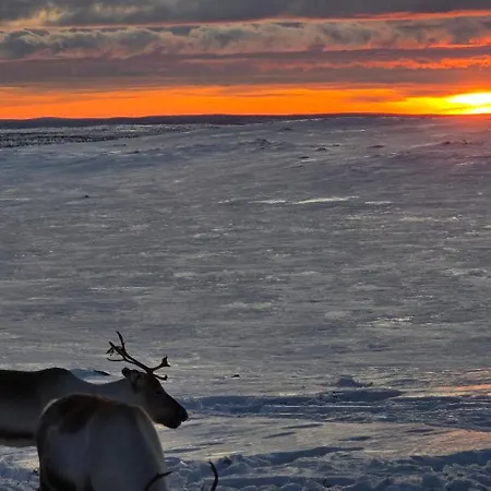 Arctic Aurora House,sevettijaervi דירה *