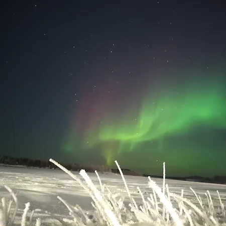 Apartamento Arctic Aurora House,sevettijaervi Sevettijärvi
