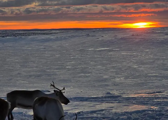 Arctic Aurora House,sevettijaervi 아파트 *